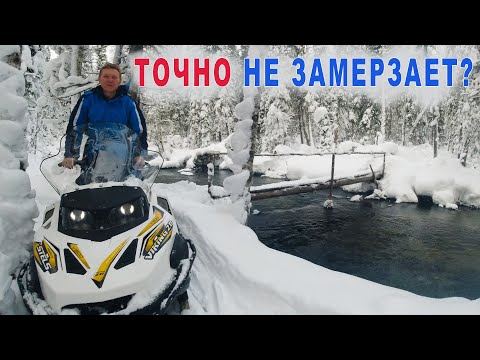 Видео: На снегоходах к незамерзающей реке. Лесная изба в чудесном лесу.