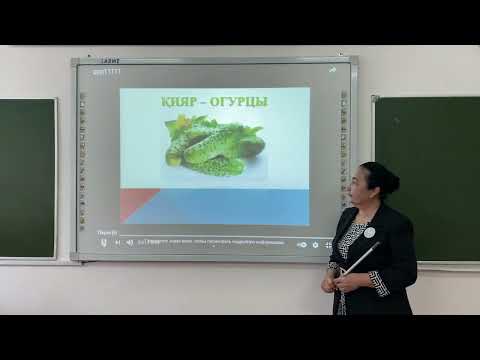 Видео: Диалект сөздер туралы түсінік