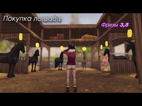 Видео: Новые фризы|Покупка лошадей|Удачная версия лошади|Star Stable Online