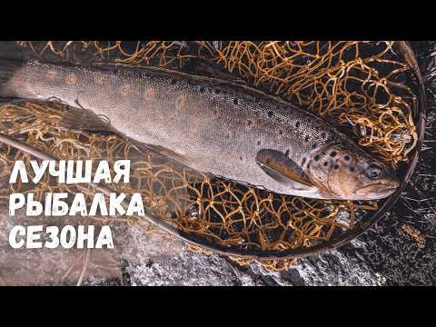 Видео: РЫБОЛОВНОЕ ЭЛЬДОРАДО ЛЕНИНГРАДСКОЙ ОБЛАСТИ. Лучшая рыбалка сезона 2025!