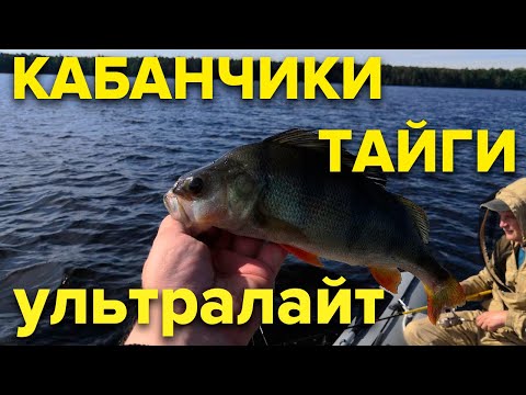 Видео: ТАЕЖНЫЕ КАБАНЧИКИ НА УЛЬТРАЛАЙТ!  Рыбалка на окуня в тайге (ультралайт)