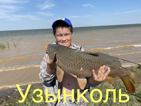 Видео: У Санжарио ТРОФЕЙ !!! рыбалка на Узынколе, трудовая рыбалка.