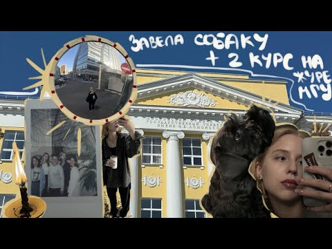 Видео: ЗАВЕЛА СОБАКУ+ начало 2 курса на журфаке МГУ/ВЛОГ