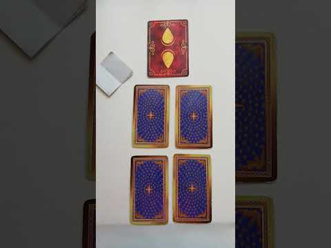 Видео: #BlessedLoveShort-че! Ще Разкрие ли Чувствата си Към Теб? Има ли Чувства Той/ Тя?