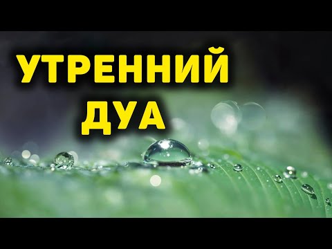 Видео: УТРЕННИЙ ДУА أذكار الصباح ЗАЩИТИТЬ ВАС ВЕСЬ ДЕНЬ | СЛУШАЙТЕ КАЖДОЕ УТРО!