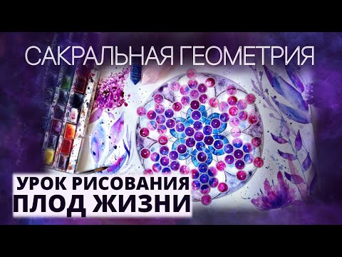 Видео: САКРАЛЬНАЯ ГЕОМЕТРИЯ. УРОК РИСОВАНИЯ АКВАРЕЛЬЮ. ПЛОД ЖИЗНИ.