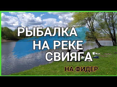 Видео: Свияга как всегда радует.  Приучаем молодое поколение к рыбалке. Лещ, Синец на фидер.