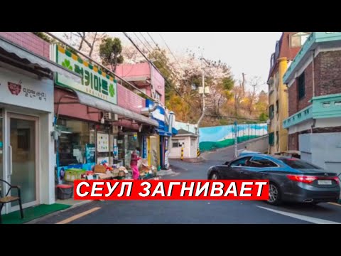 Видео: СЕУЛ ЗАГНИВАЕТ, А САКУРА ЦВЕТЁТ | КОРЕЯ ВЛОГ
