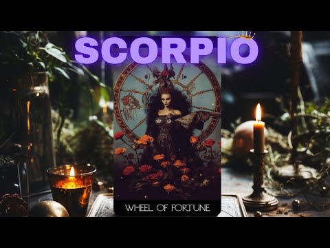 Видео: СКОРПИОН ❤️✨, 👌💥КТО-ТО ИЗ ДАЛЕКА ПРИДЕТ, ЧТОБЫ СБИТЬ ВАС С ПУТИ💌 ПРЕДНАЗНАЧЕННАЯ ЛЮБОВЬ ВОЗВРАЩАЕ...