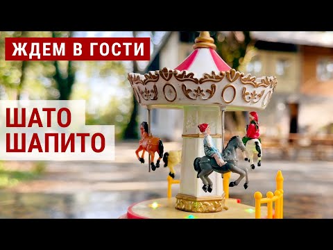 Видео: Шато Шапито: королевство в грузинском лесу | ЖДЁМ В ГОСТИ