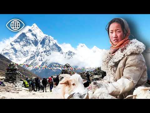 Видео: Обречено ли будущее гималайских кочевников? ⎮Документальный фильм⎮AMP