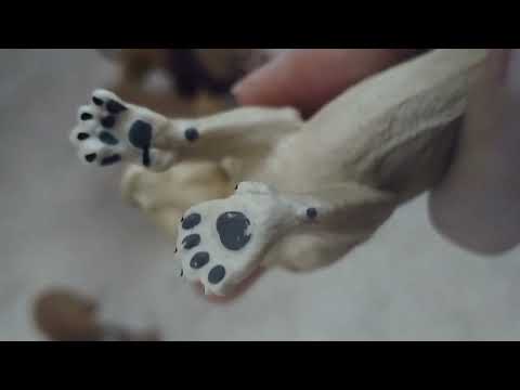 Видео: обзор на мой прайд львов