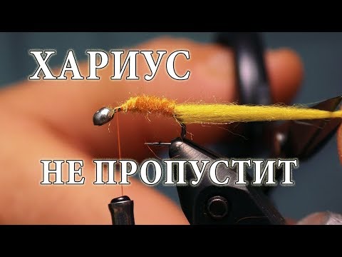 Видео: Эта нимфа выкосит всего хариуса! Сибирская сопля по новому! Мушка Косилка