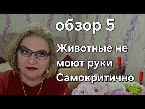 Видео: Животные не моют руки❗️Самокритично❗️