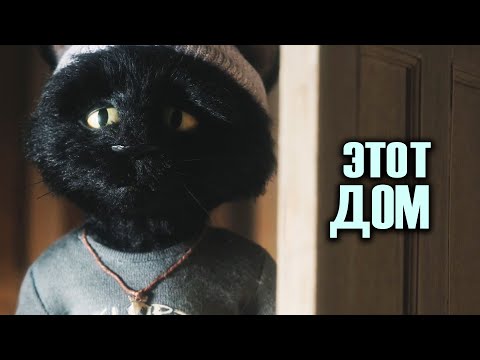 Видео: ДРАМА КОШАКОВ (Снова кошки ?)