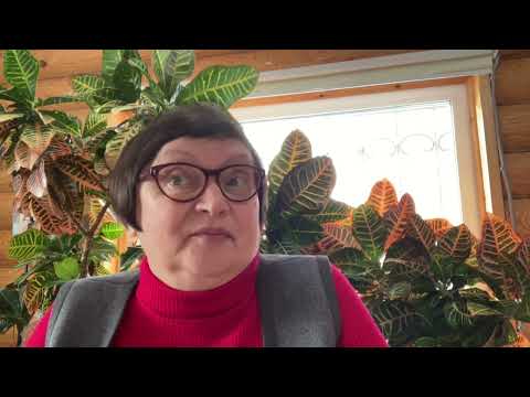 Видео: Габен. Развитие творчества