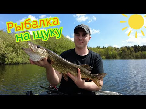 Видео: Рыбалка на щуку . Проводим выходные вместе!