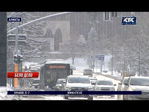 Видео: Алматы засыпало снегом: что обещают синоптики?