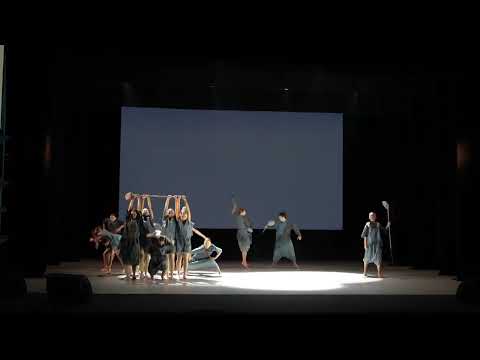 Видео: Балет современной хореографии «RomAnn dance company» "ЛОЖКИ"