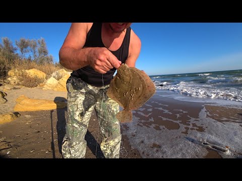 Видео: ЛОВЛЮ ЧОРНОМОРСЬКУ КАМБАЛУ