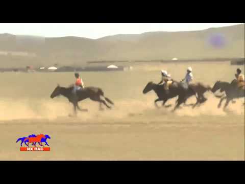 Видео: Үндэсний их баяр наадмын хурдан морьдын уралдаан 2015