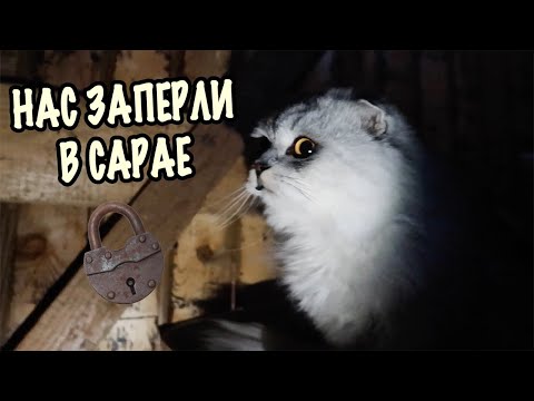 Видео: НИКОГДА НЕ РАССКАЗЫВАЙТЕ УЖАСТИКИ В САРАЕ | КОШАЧЬЯ ИСТОРИЯ УЖАСОВ 2 СЕЗОН