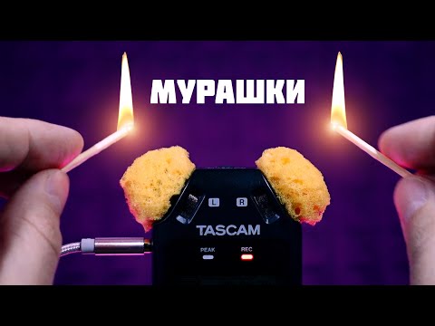Видео: АСМР ДЛЯ УСТОЙЧИВЫХ К МУРАШКАМ!