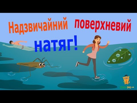 Видео: Поверхневий натяг рідини, або По воді, як по сухому