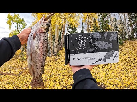 Видео: Ловля жирной форели с помощью таинственного ящика со снастями!! (ПОЙМАЙ И ПРИГОТОВЬ)