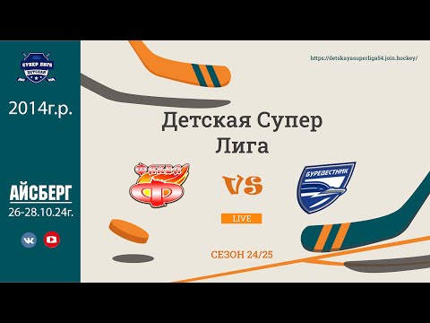 Видео: ХК Буревестник(14) - ХК Факел(14) 28.10.24г