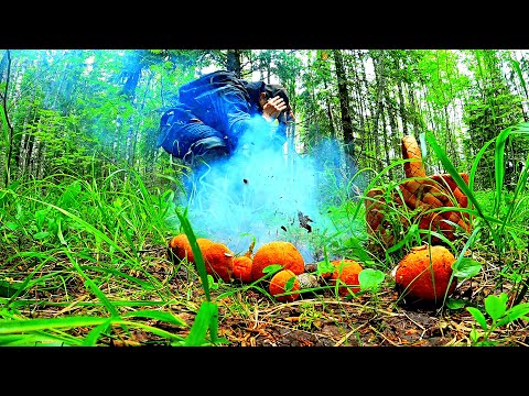 Видео: Грибник зашел в ТАЙГУ и Обалдел! Один в лесу такого не ожидал! Грибы и лес Сказочная Карелия