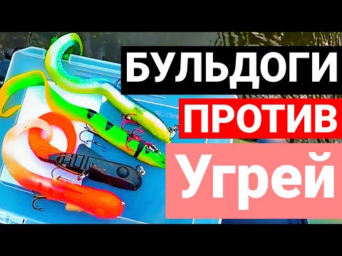 Видео: БИТВА БУЛЬДОГОВ И УГРЕЙ. BullDawg vs 3D Real Eel. Щука на крупную резину.