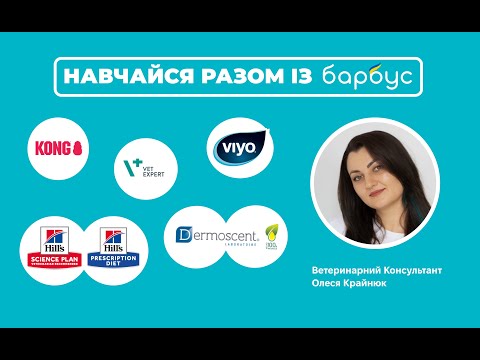 Видео: Основні міфи про харчування собак і котів.