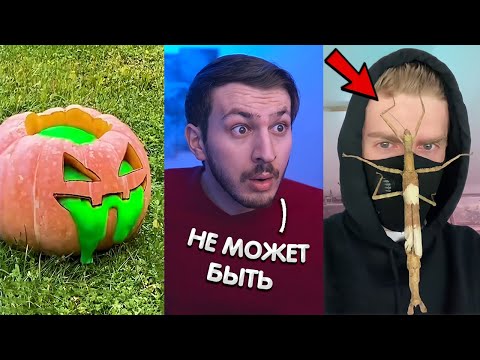Видео: ты 100% любишь ТАКОЙ ТИК ТОК #3 | Реакция на Тик Ток
