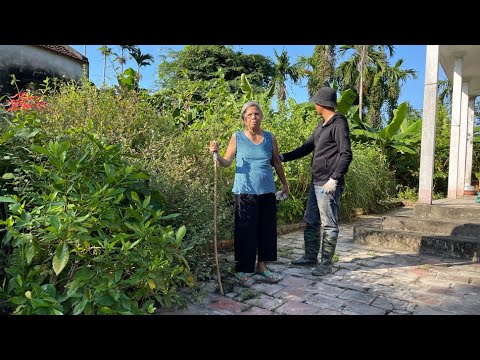 Видео: ПОМОГИТЕ 80-ЛЕТНЕЙ МАТЕРИ-ОДИНОЧКЕ Убрать заросший сад - Удовлетворительная трансформация