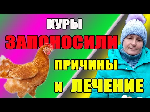 Видео: Наши куры запоносили. Причины.