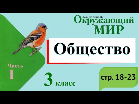 Видео: Общество. Окружающий мир. 3 класс, 1 часть. Учебник А. Плешаков стр. 18-23