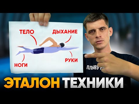 Видео: ЭТАЛОННАЯ техника кроля. ПОШАГОВО: Корпус, руки, ноги, дыхание в плавании