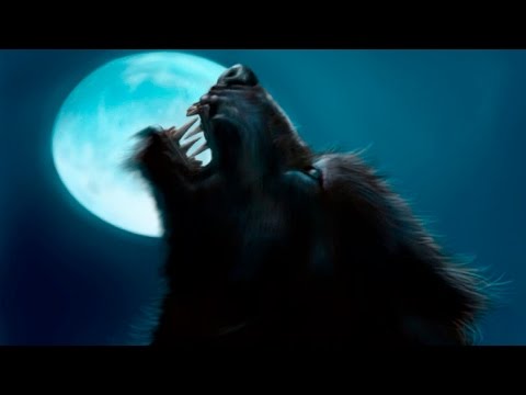 Видео: ОБОРОТЕНЬ СУЩЕСТВУЕТ