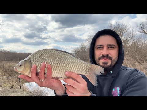 Видео: 21-23 марта 2025 Первая моя в жизни попытка поймать весеннего сазана
