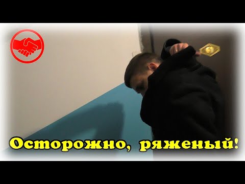 Видео: Липовый сотрудник 🃏 или будущий социальный паразит💩