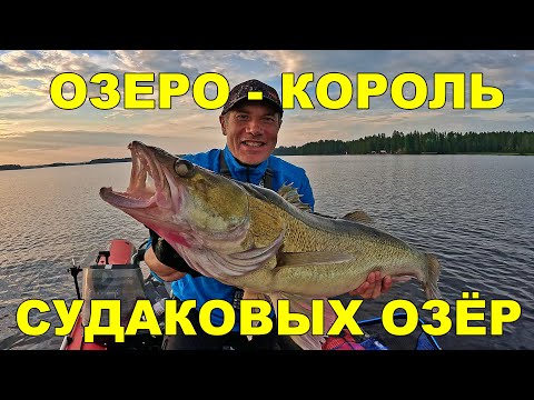 Видео: Судак в Финляндии: нашёл легендарное озеро. Правда ли оно король?