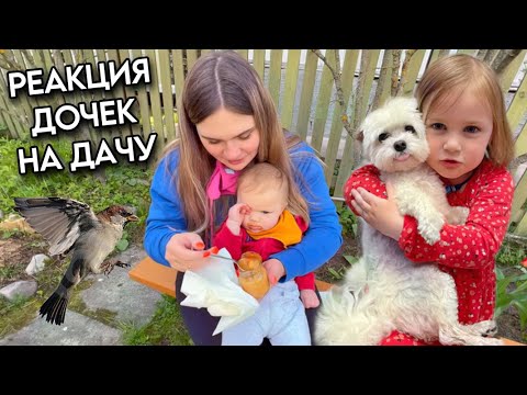 Видео: влог: 24 ЧАСА НА ДАЧЕ С ДОЧКАМИ | ПЕРВЫЙ РАЗ НА ДАЧЕ В ЭТОМ ГОДУ