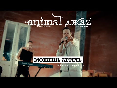 Видео: Animal ДжаZ — Можешь лететь (Piano version, Live, 2024)