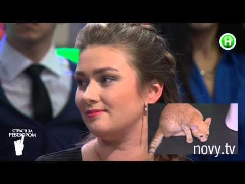 Видео: Страсти по Ревизору. Выпуск 15, сезон 3 - Львов - 28.12.2015