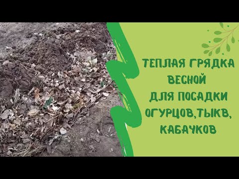 Видео: Теплая грядка весной для посадки огурцов,тыкв, кабачков