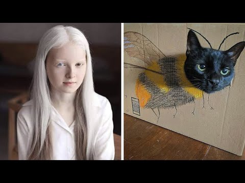 Видео: Фото, которые тебя удивят (Часть 3)