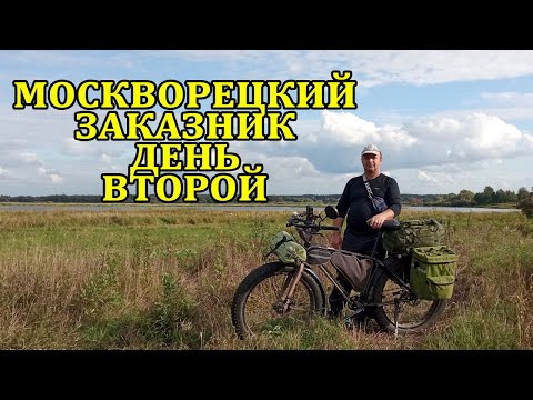 Видео: Москворецкий заказник, день 2