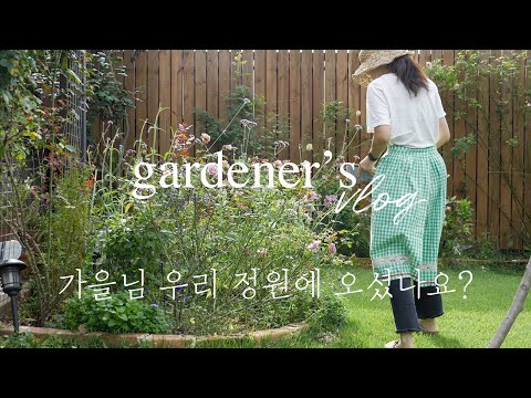 Видео: Наконец осень здесь! Сентябрьское садоводство 🍂