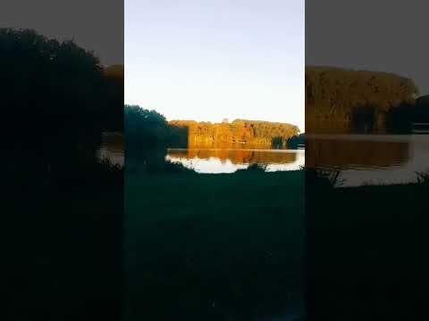 Видео: Молитва